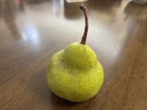 Packham's Triumph Pears